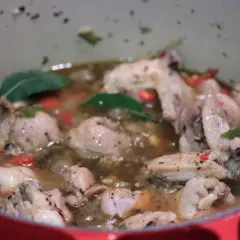 Un delicioso estofado de pollo burbujea en una olla roja, con trozos de pollo, zanahorias y pimientos.