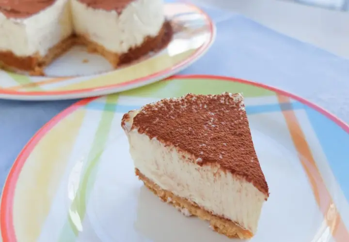 Una porción de tarta de queso fría, espolvoreada con cacao, reposa en un plato de colores. El postre perfecto para un día caluroso.