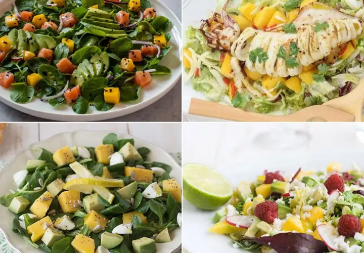 Cuatro ensaladas vibrantes: salmón y aguacate, calamar a la parrilla, queso y aguacate, y una refrescante ensalada de mango con frambuesas.