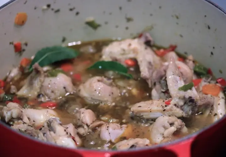 Un delicioso estofado de pollo burbujea en una olla roja, con trozos de pollo, zanahorias y pimientos.