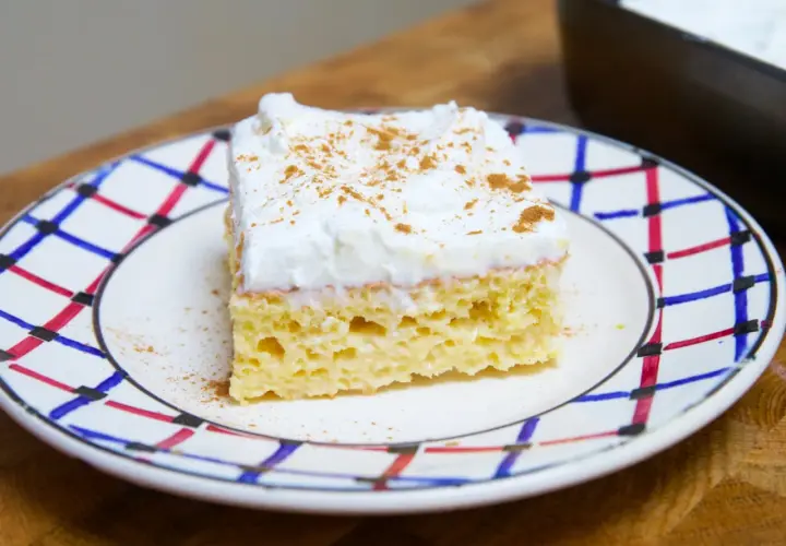 Un trozo de tarta tres leches, esponjoso y cubierto de crema batida con canela, servido en un plato decorado.