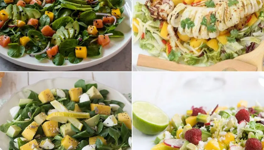 Cuatro ensaladas vibrantes: salmón y aguacate, calamar a la parrilla, queso y aguacate, y una refrescante ensalada de mango con frambuesas.