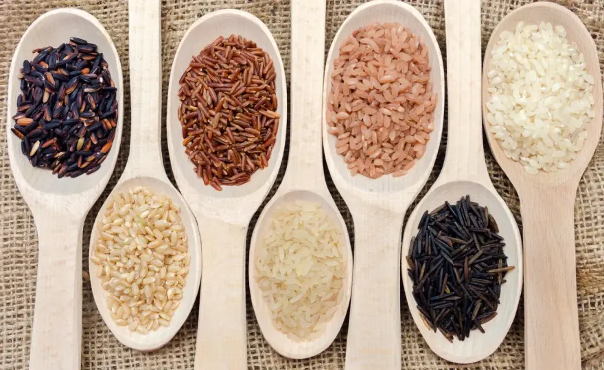 Arroz perfecto - Guía definitiva para cada tipo de grano