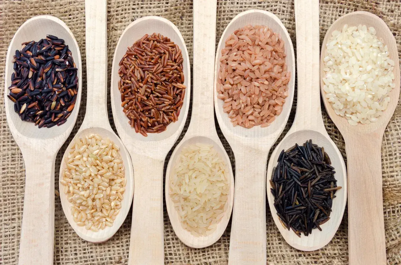 Cucharas de madera con distintos tipos de arroz, listos para cocer. Arroz negro, integral, rojo y blanco.