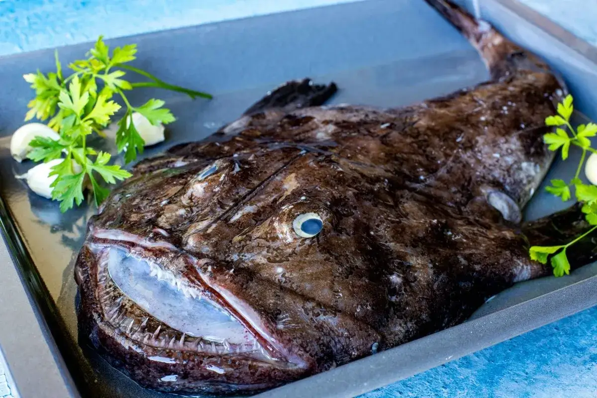 Un rape a la plancha listo para cocinar, con ajo y perejil.